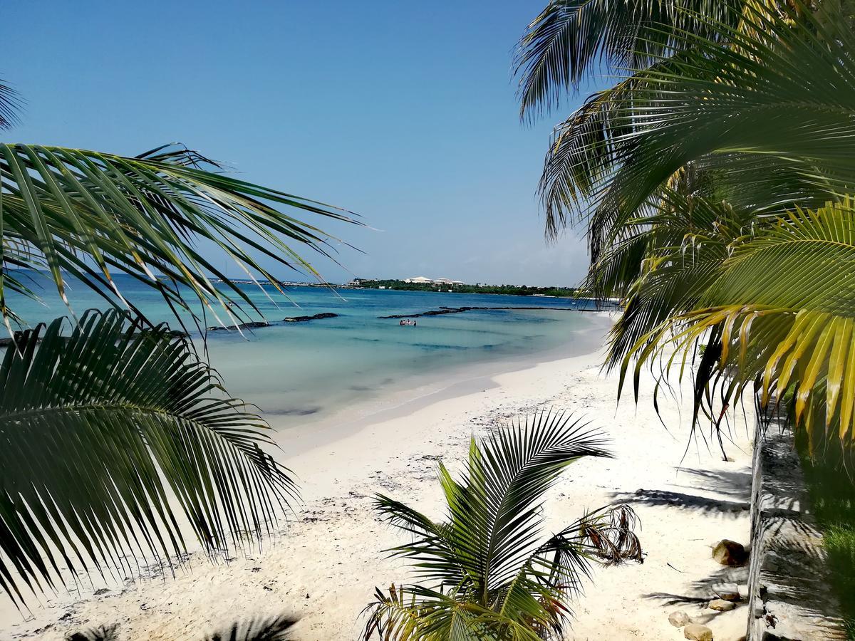Villas Picalu Lodge Puerto Aventuras Dış mekan fotoğraf