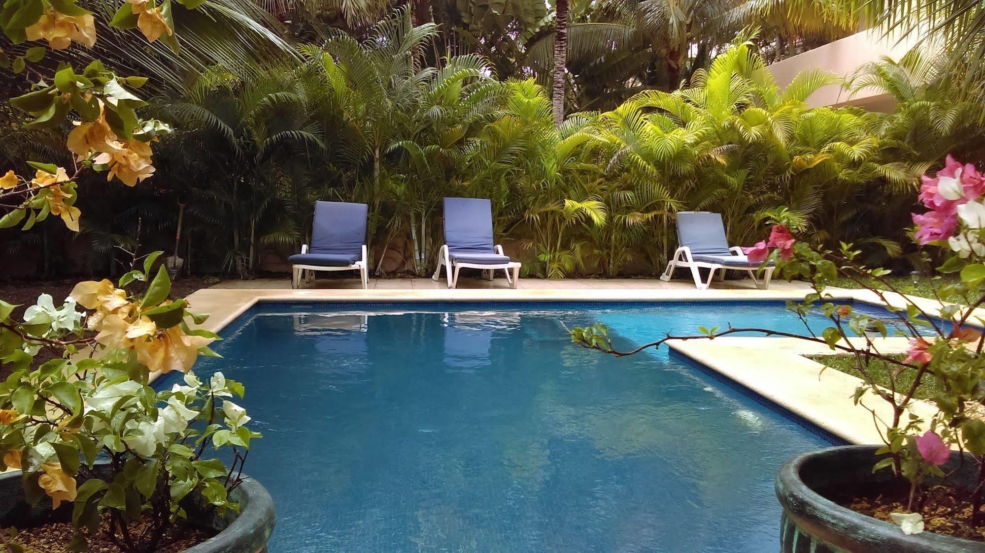 Villas Picalu Lodge Puerto Aventuras Dış mekan fotoğraf