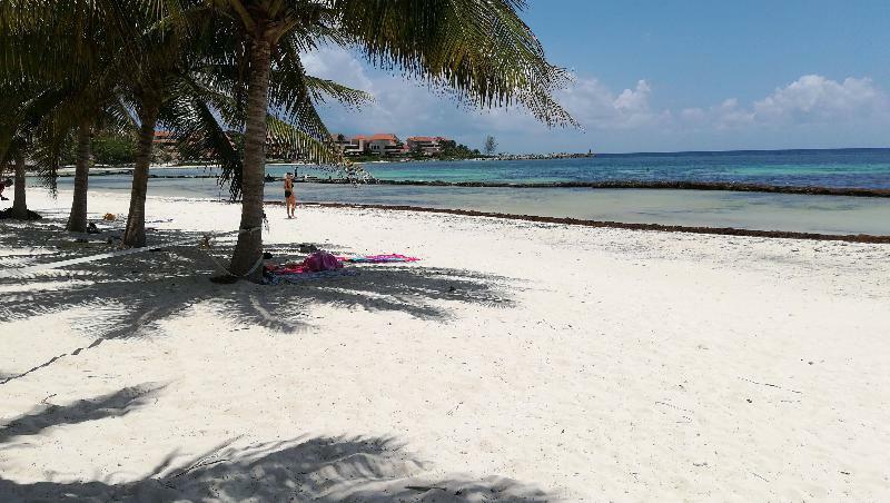 Villas Picalu Lodge Puerto Aventuras Dış mekan fotoğraf